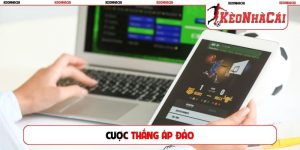 cược thắng áp đảo