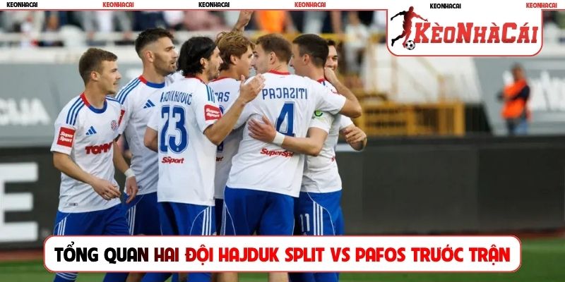 Tổng quan hai đội Hajduk Split vs Pafos trước trận